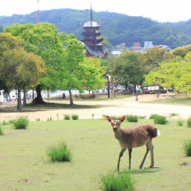 Évadez-vous dans la forêt de bambous d'Arashiyama, une escapade hivernale à Kyoto
