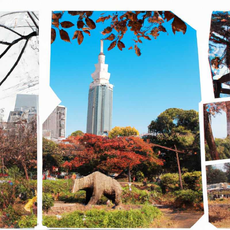 The Wintery Delights of Meiji Shrine: Exploring Tokyo's Spiritual Oasis in its Icy Embrace