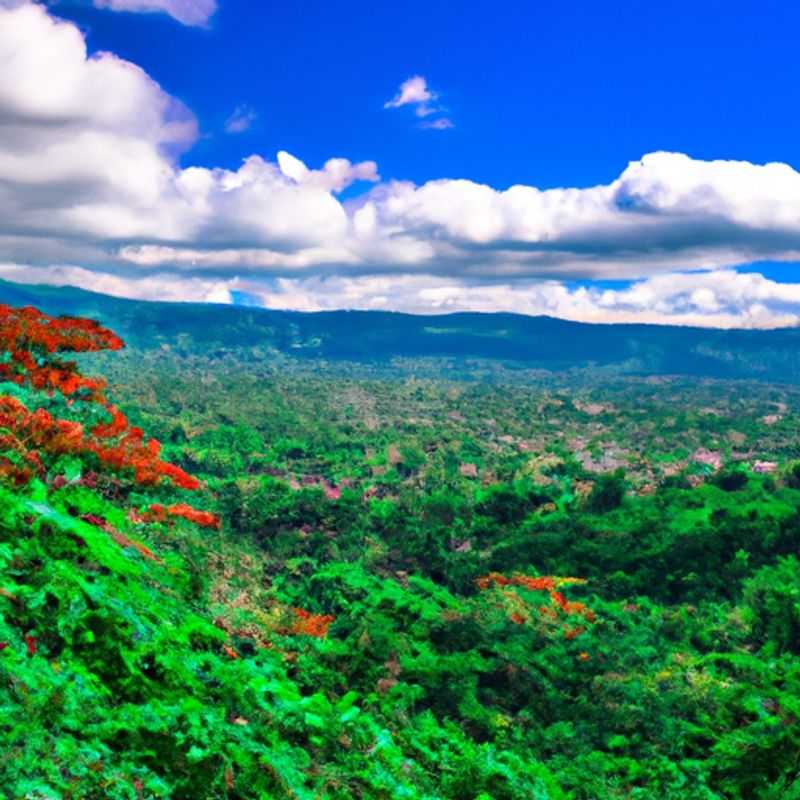 Joya de Cerén: A Journey Through Time to Uncover the Secrets of an Ancient Mayan Village
