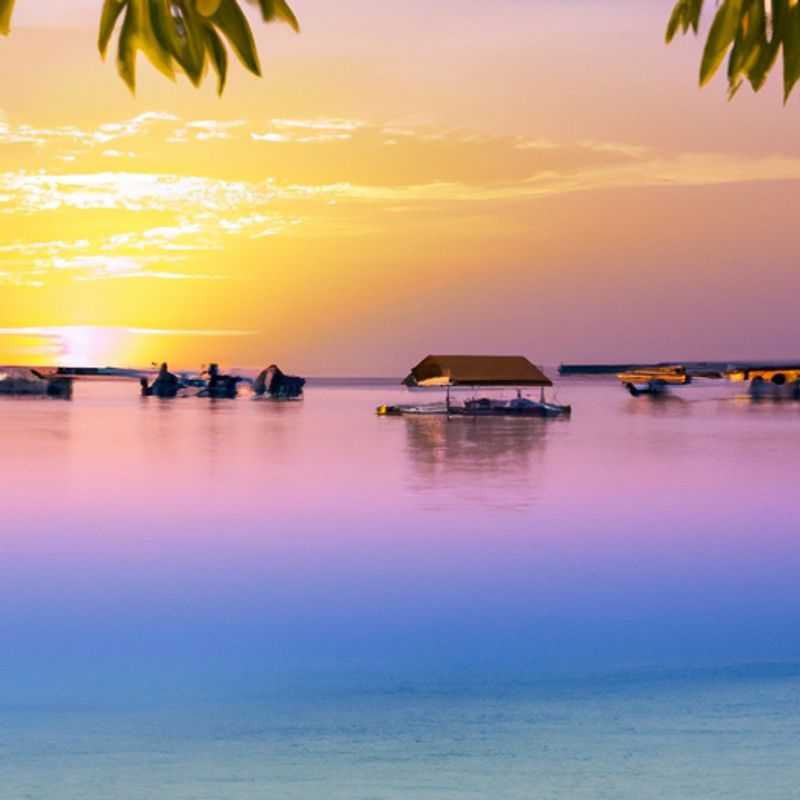 Dive into the Enchanting Underwater Realm of the Maldives this Winter