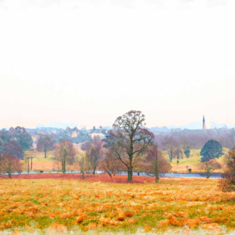 Parc National de Richmond : Une Escapade Hivernale Enchanteresse Dans Un Joyau Londres